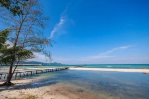 Săn sao biển ở Rạch Vẹm – Trải nghiệm độc đáo ở Phú Quốc